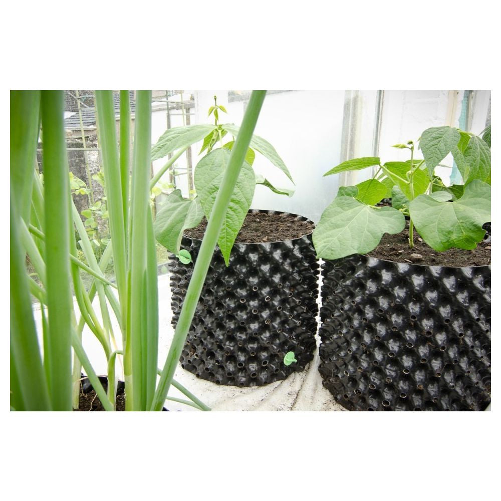 Air-Pot Topf 12,5L (Plastik)