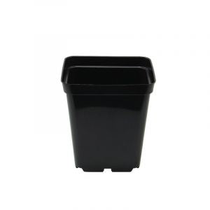 Plastiktopf quadratisch (schwarz/1L)