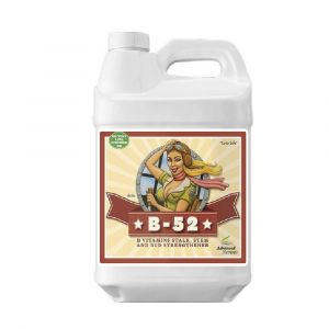 B-52 (250ml/Advanced Nutrients)